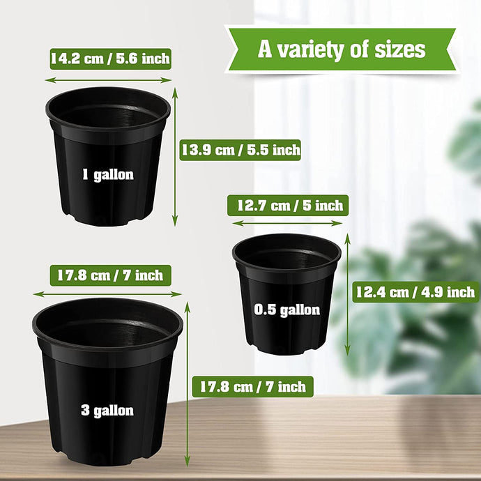 Apprenez à sélectionner la bonne taille de pot pour vos plantes