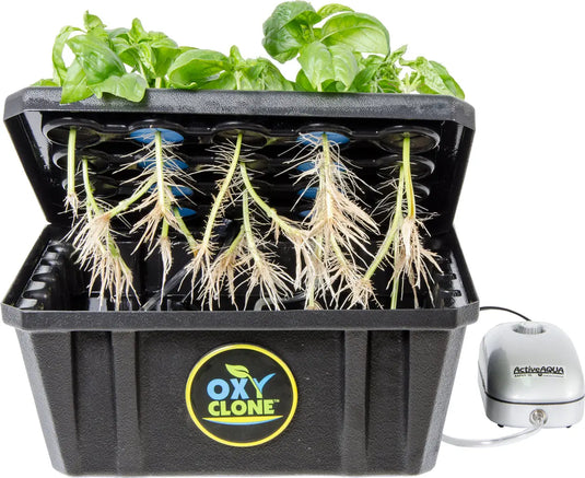 OxyCLONE 20 Site System - GrowDudes