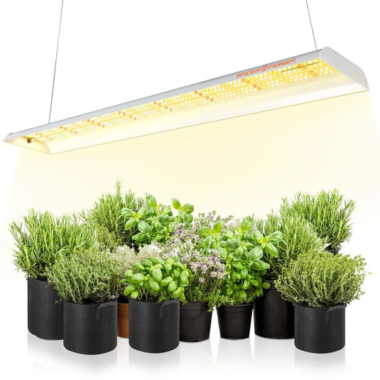 Spider Farmer® SF600 74W Vegetable Grow Lights - GrowDudes